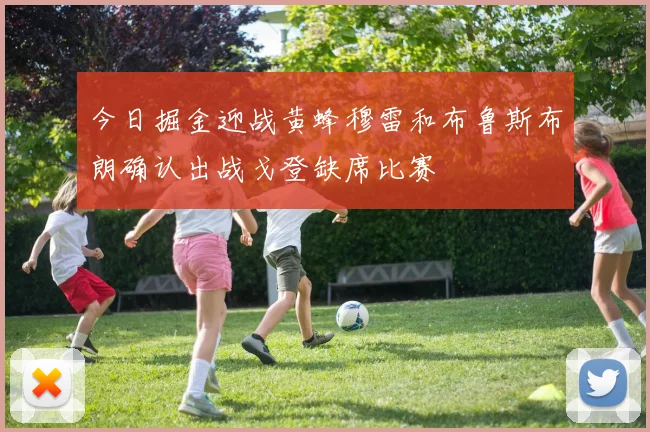 今日掘金迎战黄蜂穆雷和布鲁斯布朗确认出战戈登缺席比赛