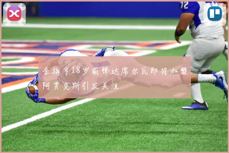 奈梅亨18岁前锋达席尔瓦即将加盟阿贾克斯引发关注