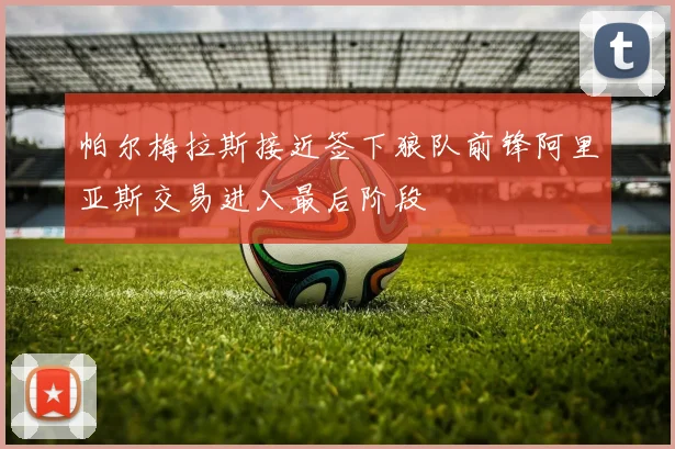 帕尔梅拉斯接近签下狼队前锋阿里亚斯交易进入最后阶段