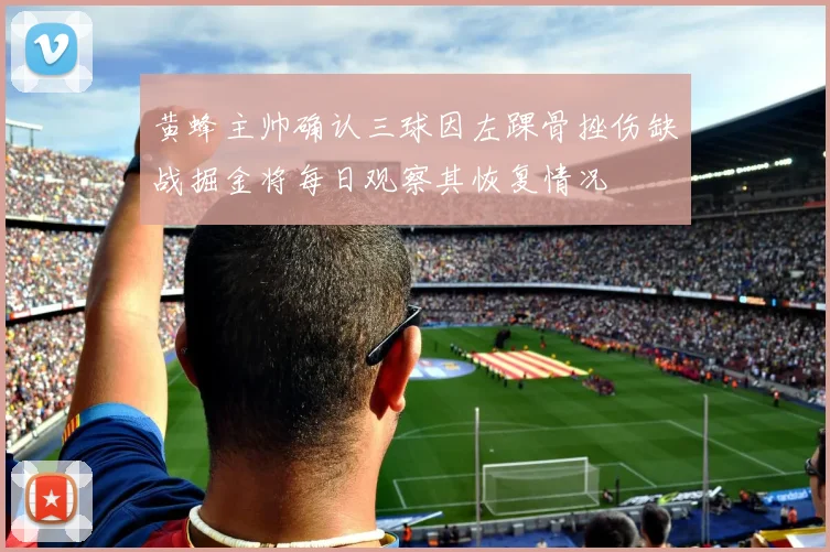 黄蜂主帅确认三球因左踝骨挫伤缺战掘金将每日观察其恢复情况