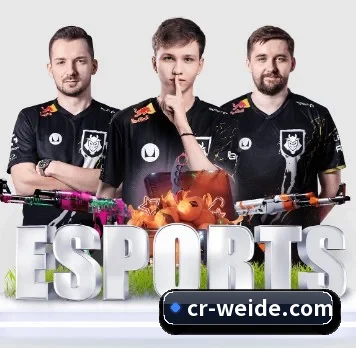 伟德体育 APP 界面